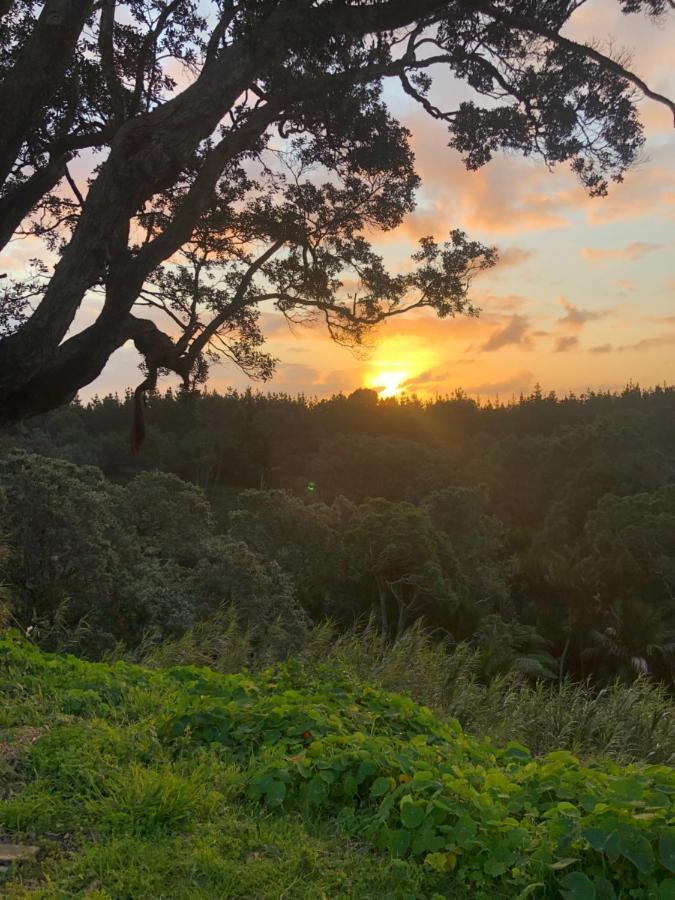 Muriwai Lodge Екстер'єр фото