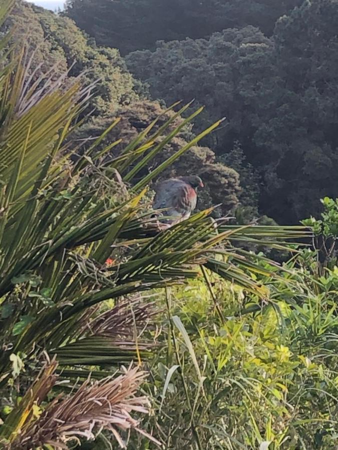 Muriwai Lodge Екстер'єр фото